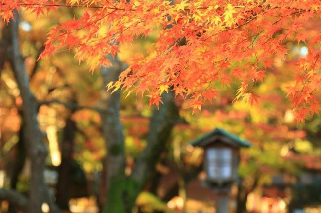 Kanazawa Machiya Inn Hana Exterior foto